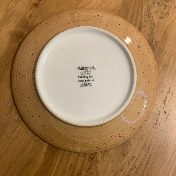 Pfaltzgraff EVENING SUN Hand Painted Set of 2 Salad/Lunch Plates 9" - Picture 5 of 7